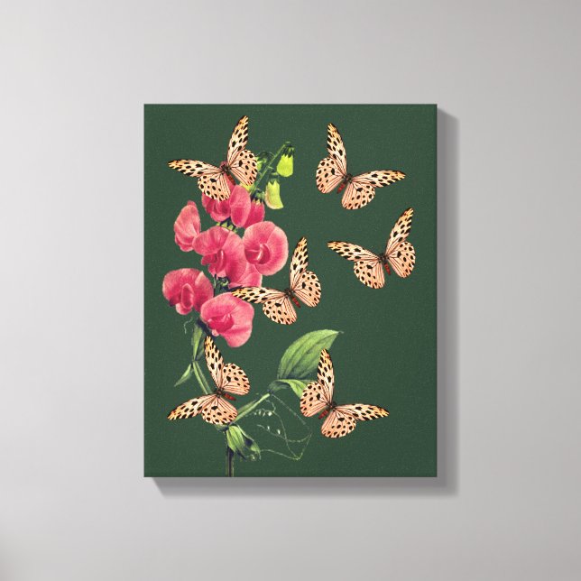 Butterflies And Sweet Pea Flower  Canvas Print (Front)