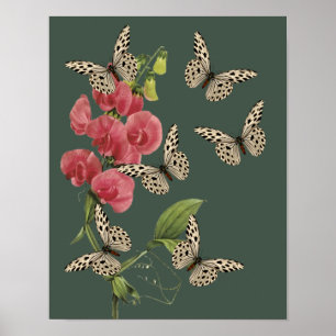 Butterflies And Sweet Pea Flower Poster