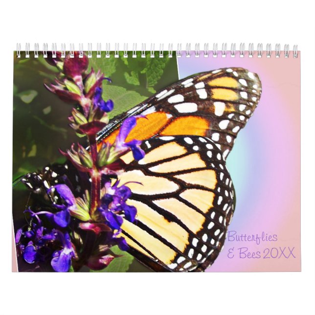 Butterflies & Bees Calendar (Cover)