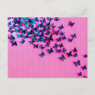 Butterflies Blue Pink Beautiful Postcard