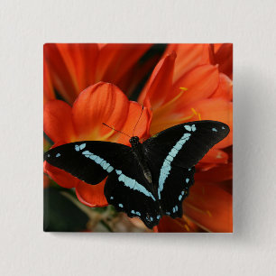 Butterflies BLUEY 2 Inch Square Button