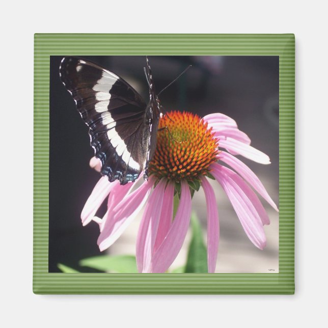 Butterflies Business Magnet (Front)