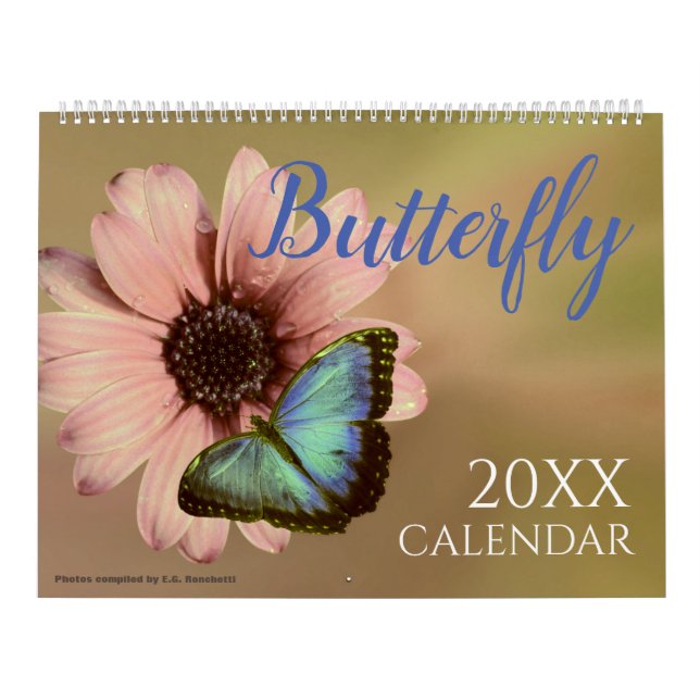 Butterflies Butterfly Photo Wall Calendar (Cover)