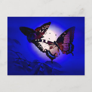Butterflies - Butterfly Postcard
