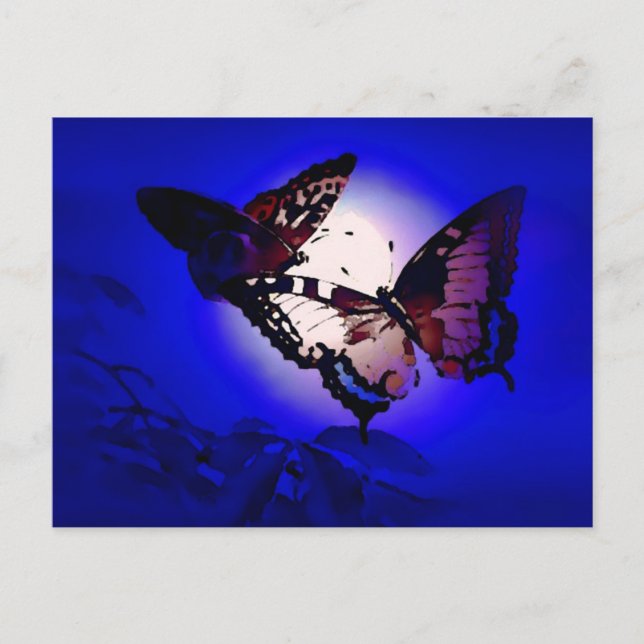 Butterflies - Butterfly Postcard (Front)