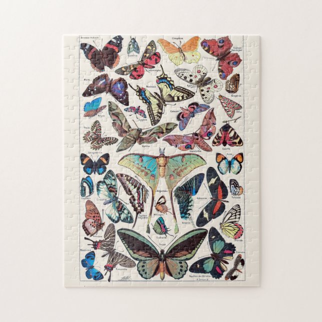 Butterflies by Adolphe Millot Jigsaw Puzzle (Vertical)