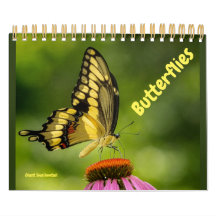 Butterflies Calendar