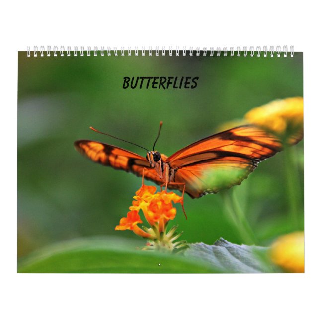 Butterflies Calendar (Cover)