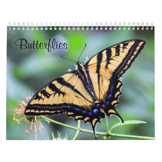 Butterflies Calendar (Cover)