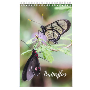 Butterflies calendar