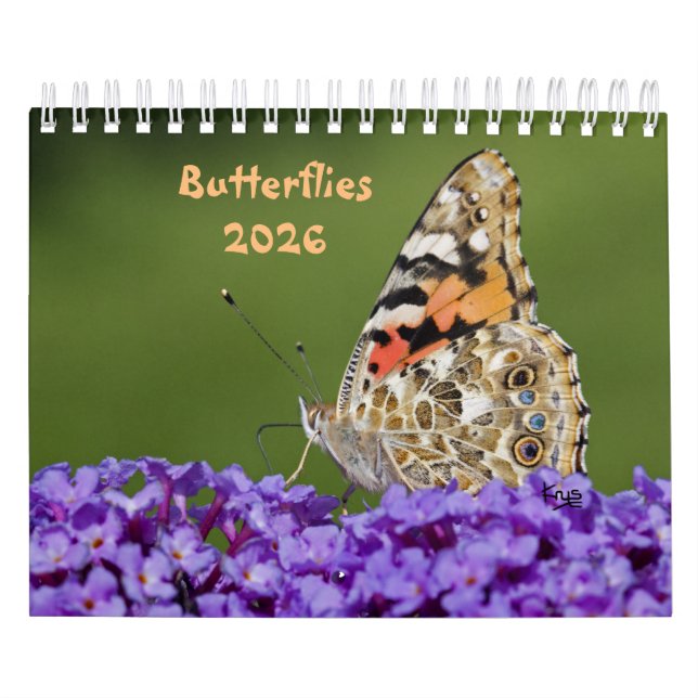 Butterflies Calendar (Cover)