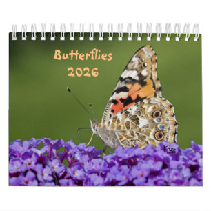 Butterflies Calendar 2025