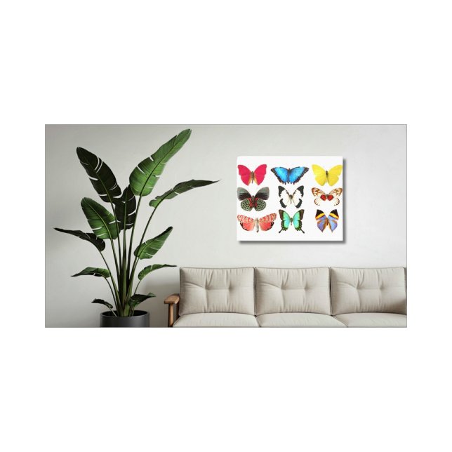 Butterflies Canvas Print (Creator Uploaded)
