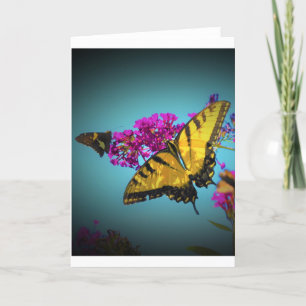 Butterflies, card