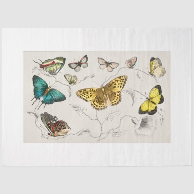 Butterflies Decoupage Paper (Front)