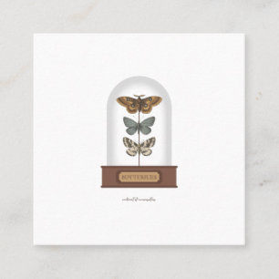 Butterflies featuring moths in a glass dome square business card