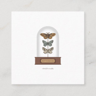 Butterflies featuring moths in a glass dome square business card