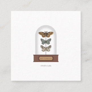 Butterflies featuring moths in a glass dome square business card