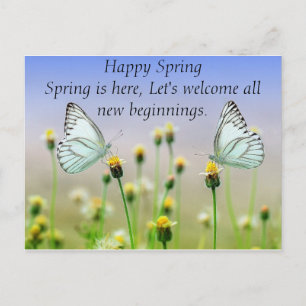 Butterflies Flowers Postcard