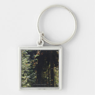 Butterflies flying in forest keychain