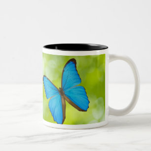 Butterflies flying Two-Tone coffee mug