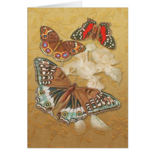 Butterflies in Flight - Customize