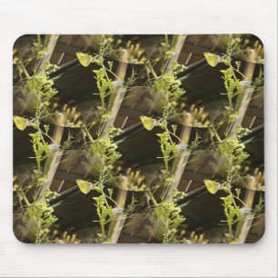 Butterflies in love.... mouse pad