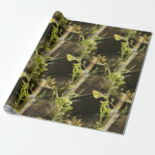 Butterflies in love.... wrapping paper