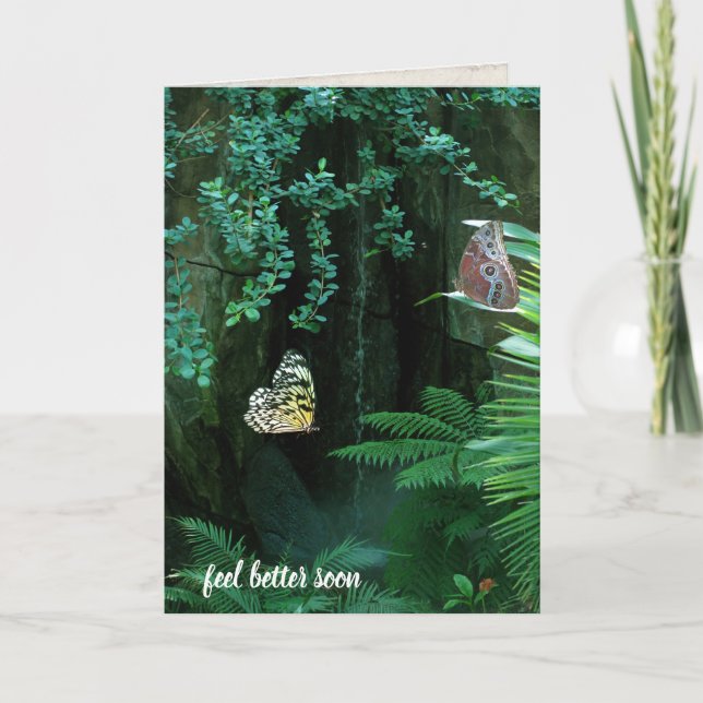 butterflies in tropical garden for get well soon card (Front)