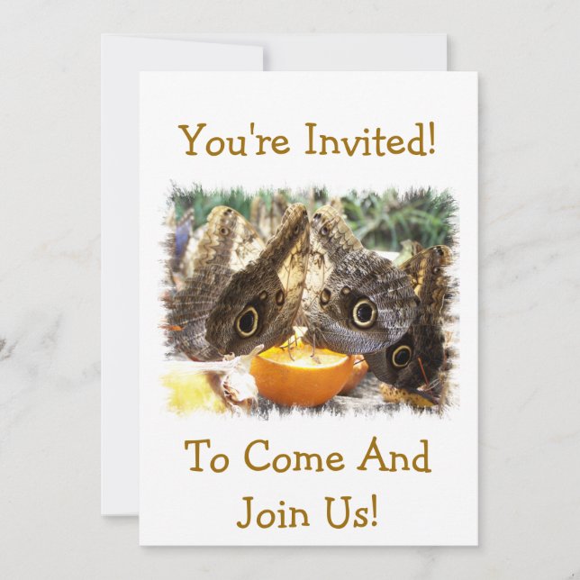 BUTTERFLIES INVITATION (Front)