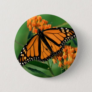 butterflies monarch butterfly 2 inch round button
