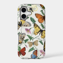 Butterflies & Moths 2