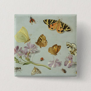 Butterflies, moths and other insects 2 inch square button