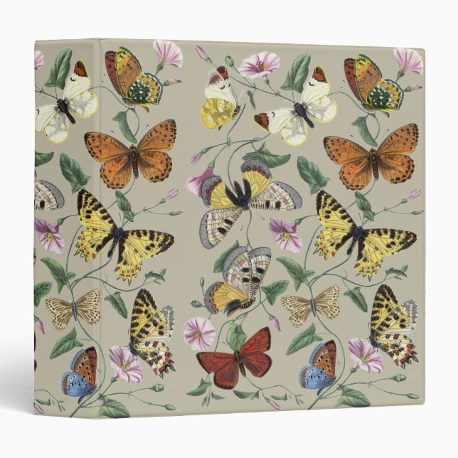 Butterflies & Moths Nature Illustration Collection Binder (Front/Spine)