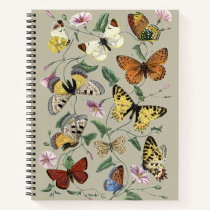 Butterflies & Moths Nature Illustration Collection Notebook