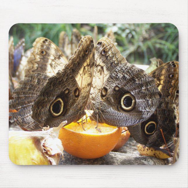 BUTTERFLIES MOUSE PAD (Front)