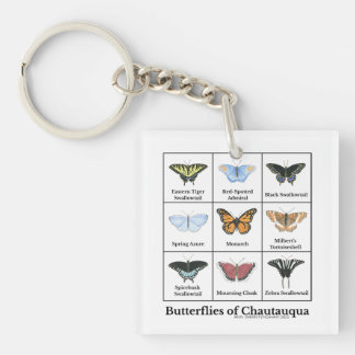 Butterflies of Chautauqua Keychain