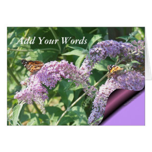 Butterflies on ButterflyBush-customize