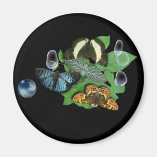 Butterflies on Leaves Magnet