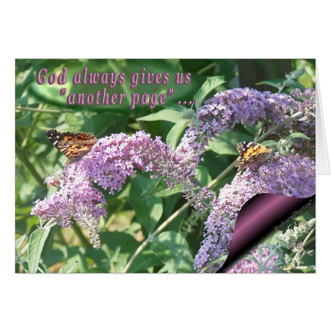 Butterflies on Lilac-page-customize (Front Horizontal)