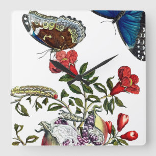 Butterflies on pomegranate square wall clock