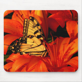 Butterflies on Tiger Lilies Mouse Pad