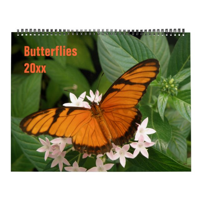 Butterflies Personalized Calendar (Cover)