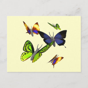 Butterflies Postcard