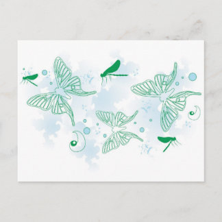 Butterflies Postcard