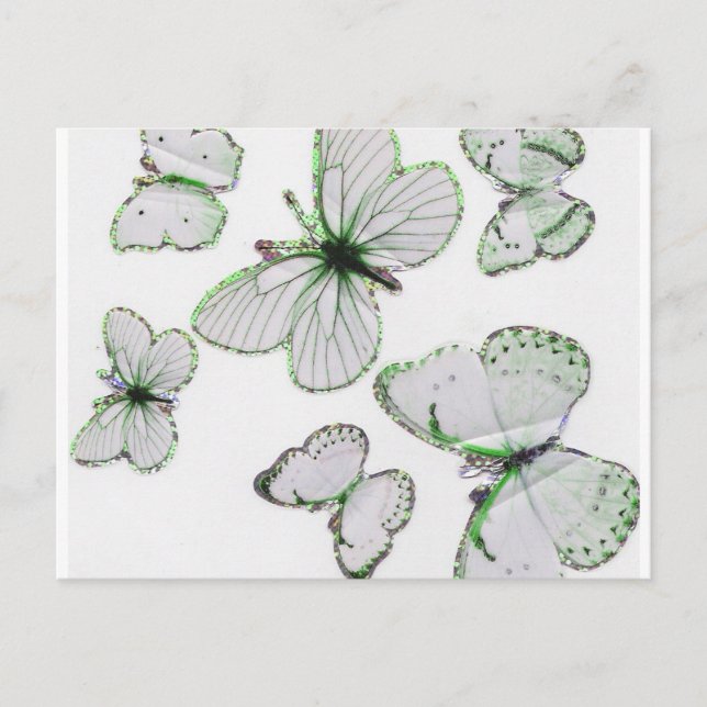 butterflies Postcard (Front)