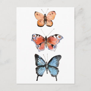 Butterflies Postcard