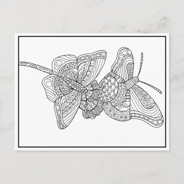 Butterflies Postcard Design - Colouring Card (Front)
