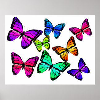 Butterflies Poster