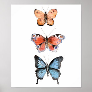 Butterflies Poster